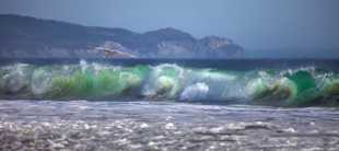 Wave at Limantour Beach-6363 Wave at Limantour Beach-6363